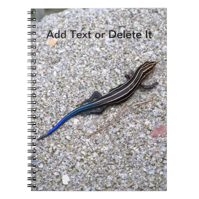 Cuaderno atado azul de Skink (Frente)