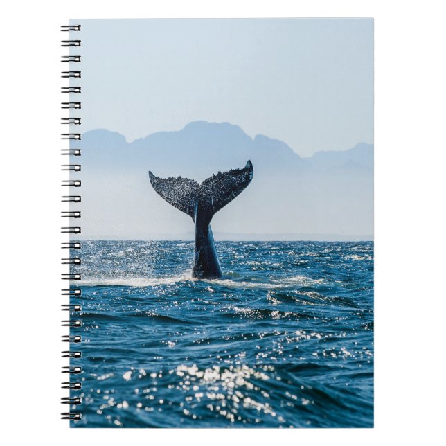 Cuaderno Ataque marino de la cola de ballena: Agua Dramátic (Frente)