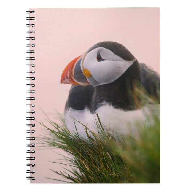 Cuaderno Atlético de Puffin (Fratercula arctica) (Frente)