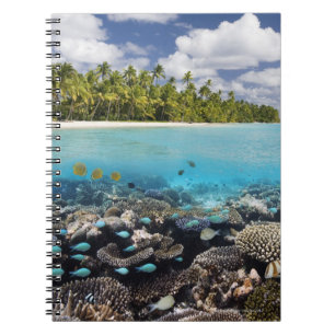 Cuaderno Atolón del sur tropical de la laguna el Ari