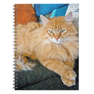 Cuaderno Atrapado