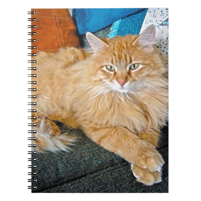 Cuaderno Atrapado (Frente)