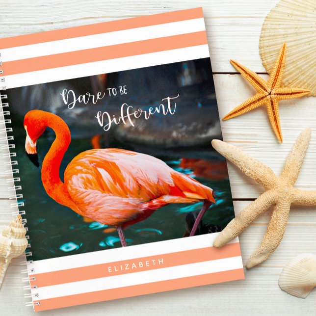 Cuaderno Atrévase A Ser Diferente Flamingo Naranja Rayas Bl (Subido por el creador)