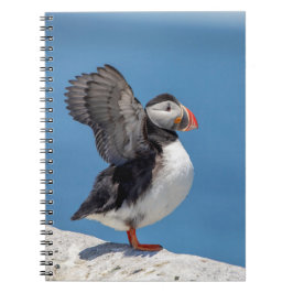 Cuaderno Atún de aleta atlántica en Machias, ME