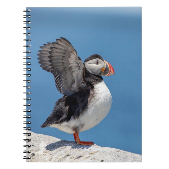 Cuaderno Atún de aleta atlántica en Machias, ME (Frente)