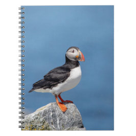Cuaderno Atún de aleta atlántica en Maquias, Maine