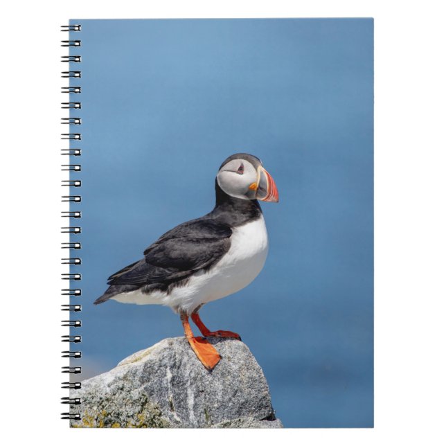 Cuaderno Atún de aleta atlántica en Maquias, Maine (Frente)