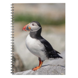 Cuaderno Atún de aleta atlántica en Maquias, Maine