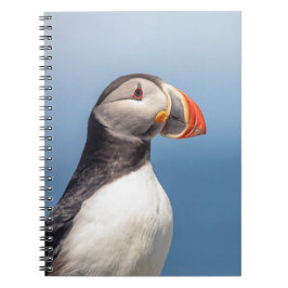 Cuaderno Atún de aleta atlántica en Maquias, Maine