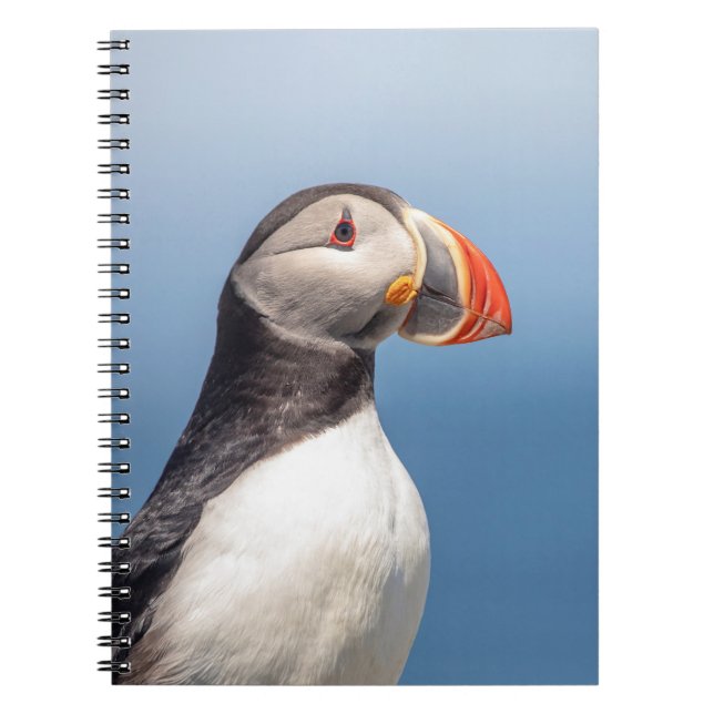 Cuaderno Atún de aleta atlántica en Maquias, Maine (Frente)