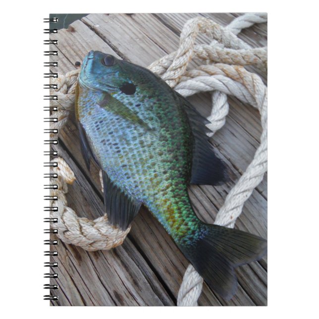 Cuaderno atún rojo en el muelle (Frente)
