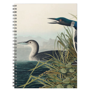 Cuaderno Audubon Bird Lodge Diver Classic