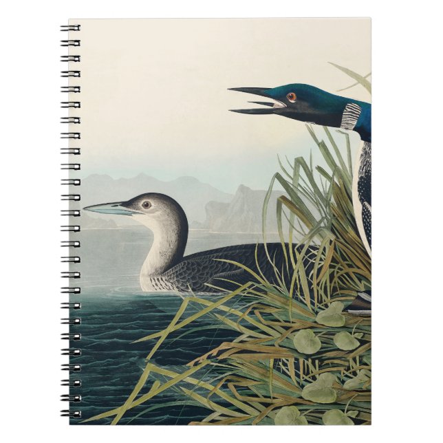 Cuaderno Audubon Bird Lodge Diver Classic (Frente)