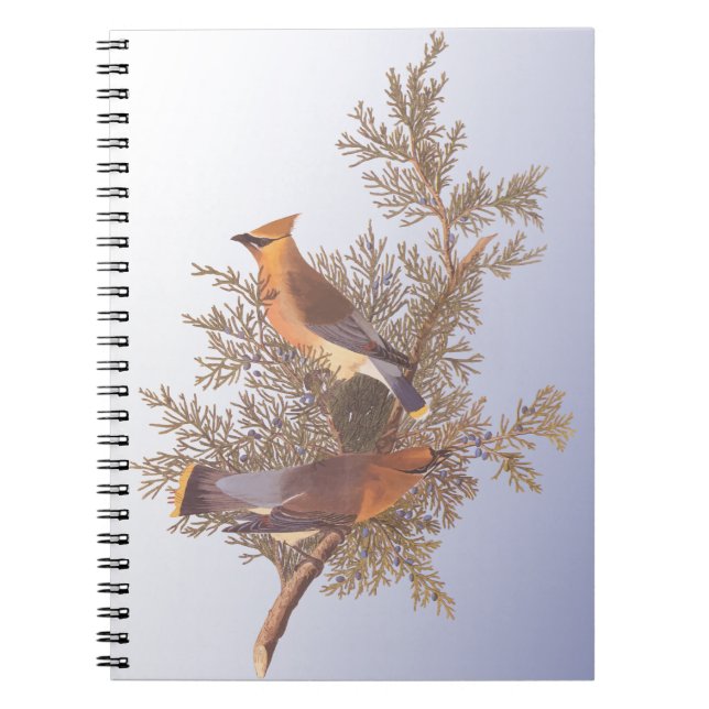 Cuaderno Audubon Cedar Waxwing Bird en Evergreen Juniper (Frente)