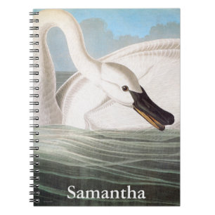 Cuaderno Audubon: Cisne de trompetista
