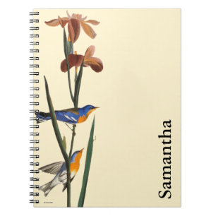 Cuaderno Audubon: Curruca