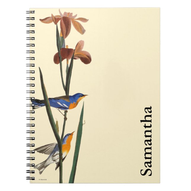 Cuaderno Audubon: Curruca (Frente)