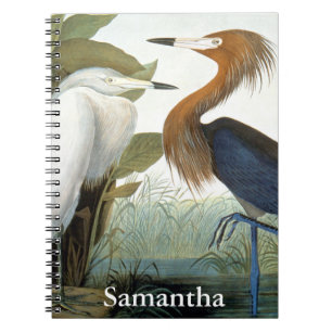 Cuaderno Audubon: Egret rojizo o garza púrpura
