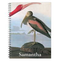 Audubon: Escarlata Ibis
