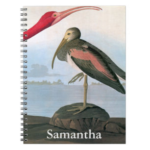 Cuaderno Audubon: Escarlata Ibis
