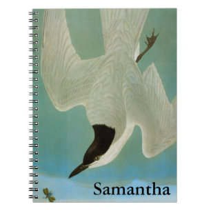 Cuaderno Audubon: Golondrina de mar Gaviota-Cargada en