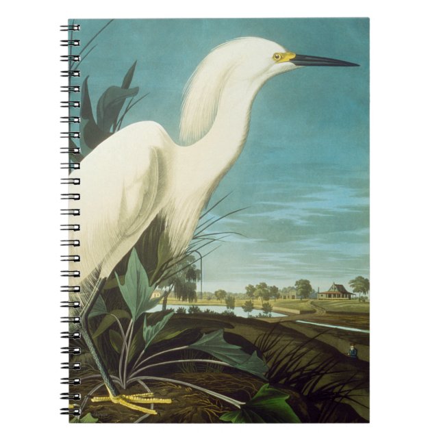 Cuaderno Audubon: Grasa (Frente)