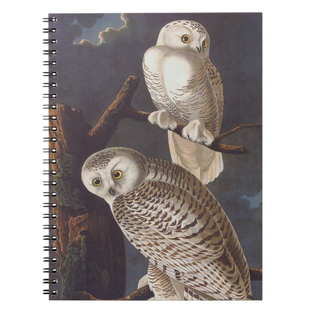 Cuaderno Audubon Lechuzas Blancas Nevadas en una noche nubl (Frente)