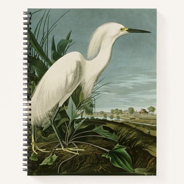 Cuaderno Audubon Snowy Heron White Egret Bird Birding (Anverso)