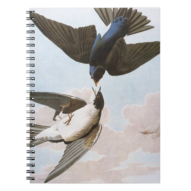 Cuaderno Audubon: Trago de árbol (Frente)