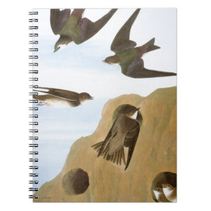 Cuaderno Audubon: Tragos