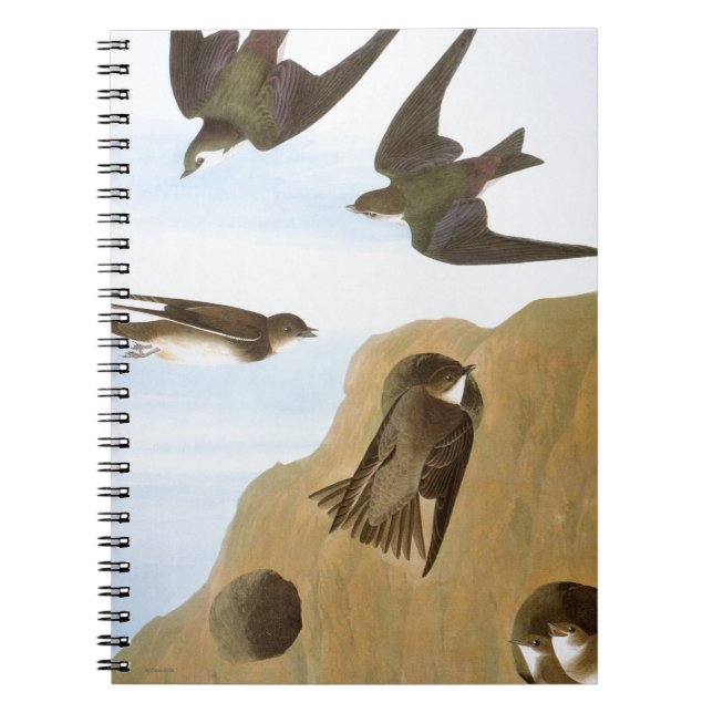 Cuaderno Audubon: Tragos (Frente)