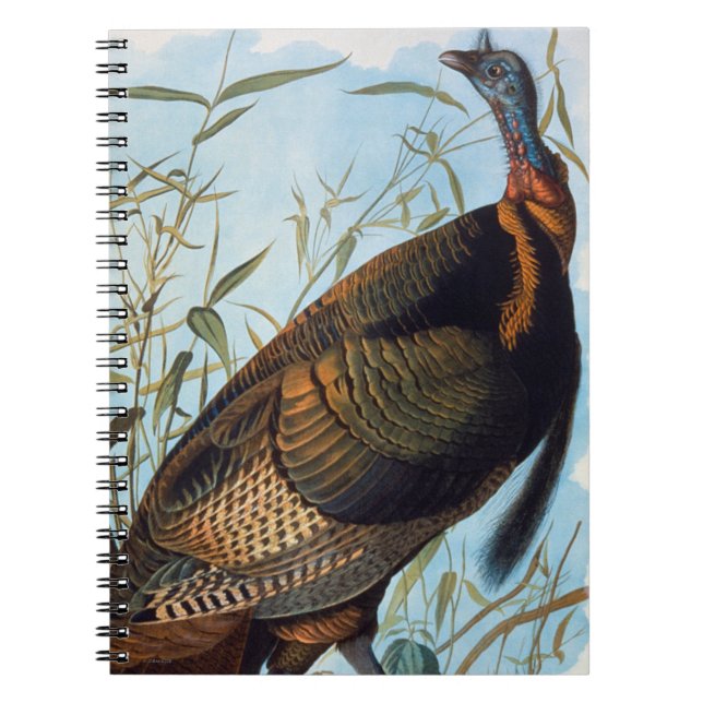 Cuaderno Audubon: Turquía salvaje (Frente)
