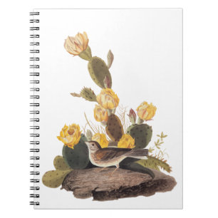 Cuaderno Audubon Vesper Sparrow y Pricky Pear Cactus