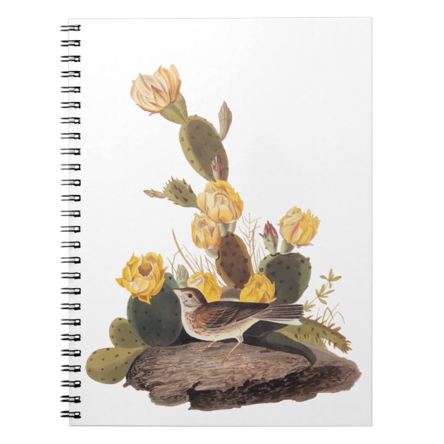 Cuaderno Audubon Vesper Sparrow y Pricky Pear Cactus (Frente)