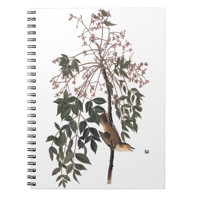 Cuaderno Audubon White Eyed Vireo (Frente)