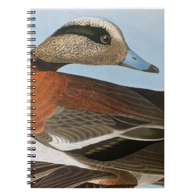 Cuaderno Audubon: Wigeon (Frente)