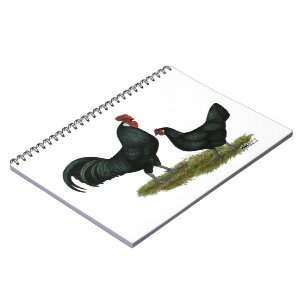 Cuaderno Augsburger Chickens