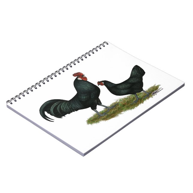Cuaderno Augsburger Chickens (Lado Izquierdo)