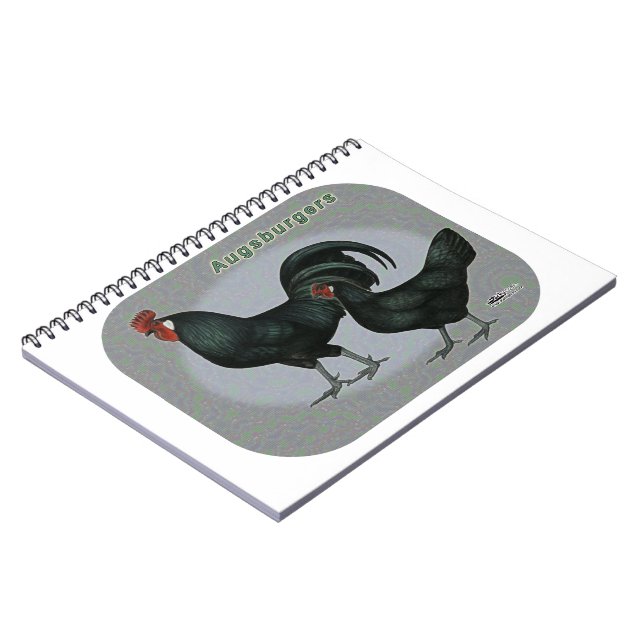 Cuaderno Augsburger Fowl (Lado Izquierdo)