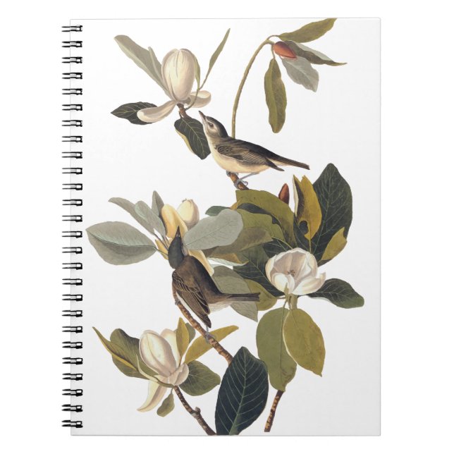 Cuaderno Ausencia Audubon del Viejo de los Aves de la Viña (Frente)