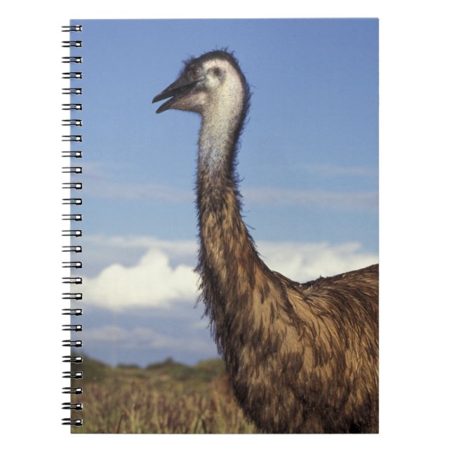 Cuaderno Australia, Australia Occidental. Emú (Dromaius (Frente)