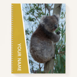 Cuaderno Australia Koala en un árbol de eucalipto, oro