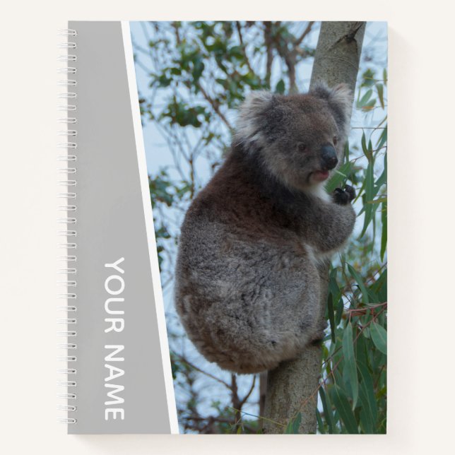 Cuaderno Australia Koala en un árbol de eucalipto, plateado (Anverso)