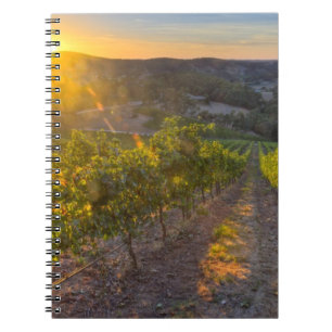 Cuaderno Australia Meridional, Adelaide Hills, Summertown.