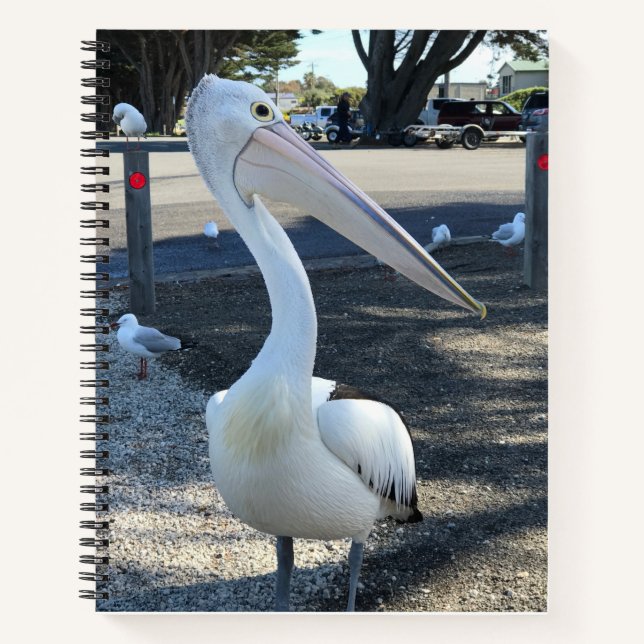 Cuaderno Australia; Pelican - Viajes (Anverso)