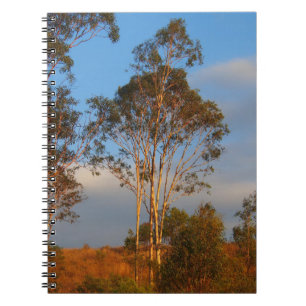 Cuaderno australiano de los árboles de goma