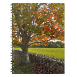Cuaderno Autumn at Stone Wall Spiral Notebook