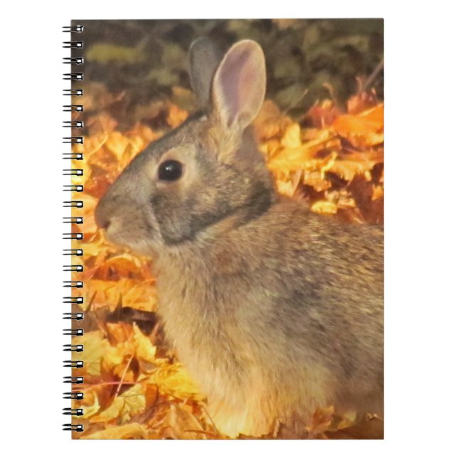 Cuaderno Autumn Bunny (Frente)