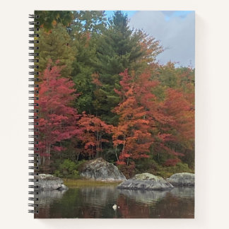 Cuaderno Autumn Reflections Journal