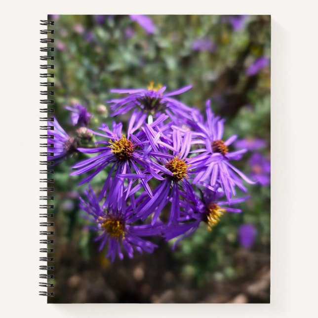 Cuaderno Autumn's Purple Glow (Anverso)